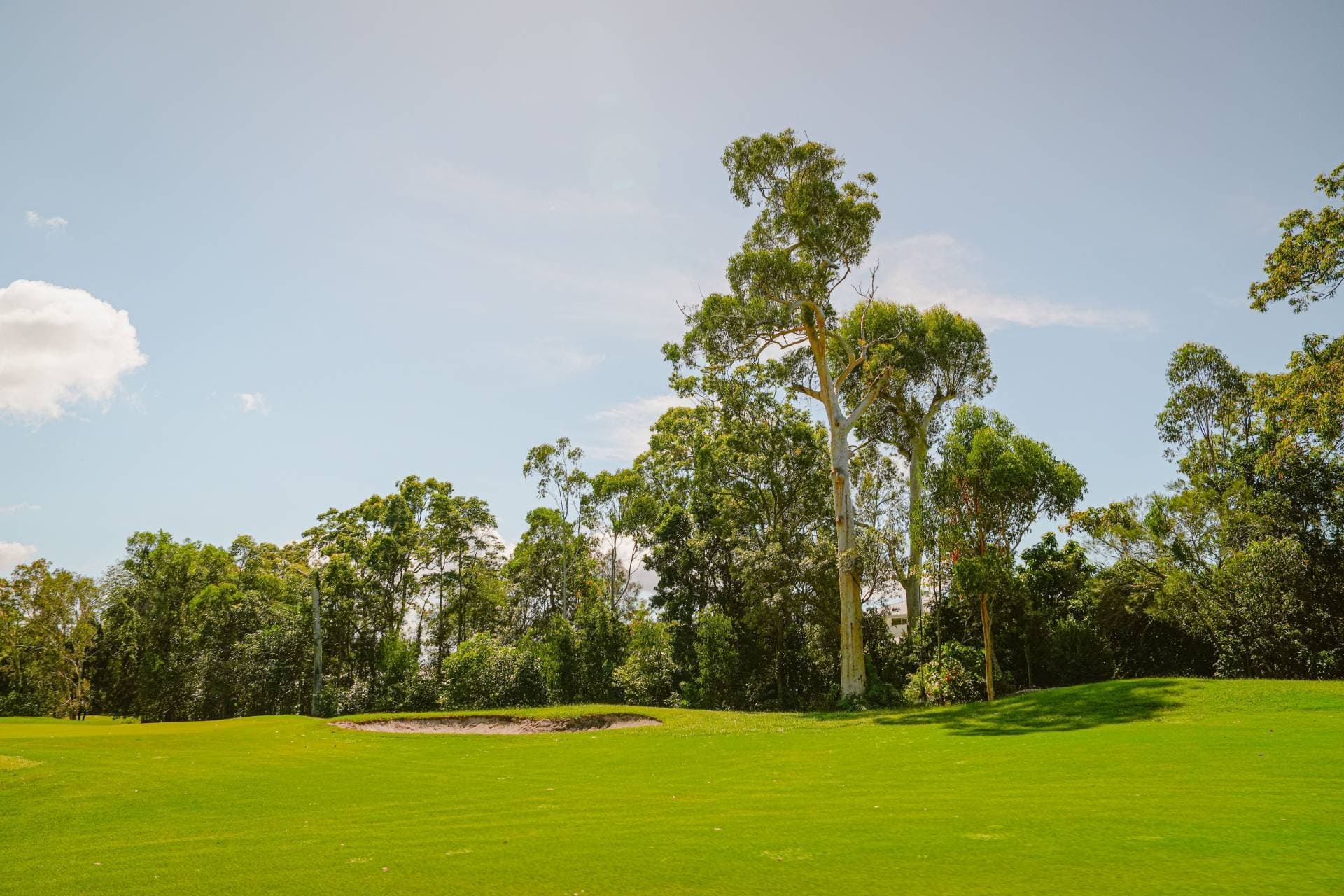10 Rosewood Place, Peregian Springs - Thumbnail 8