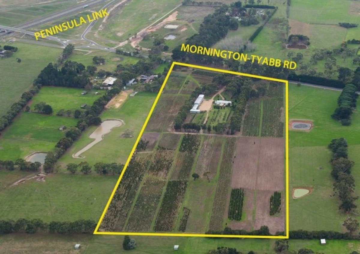 249 Mornington-Tyabb Road, Moorooduc - Thumbnail 6