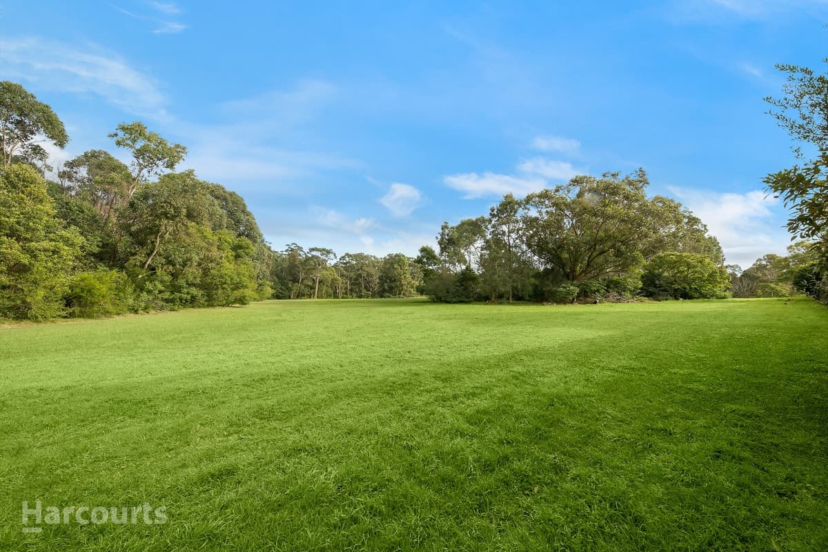 56 Ulm Street, Ermington NSW, Ermington - Thumbnail 5