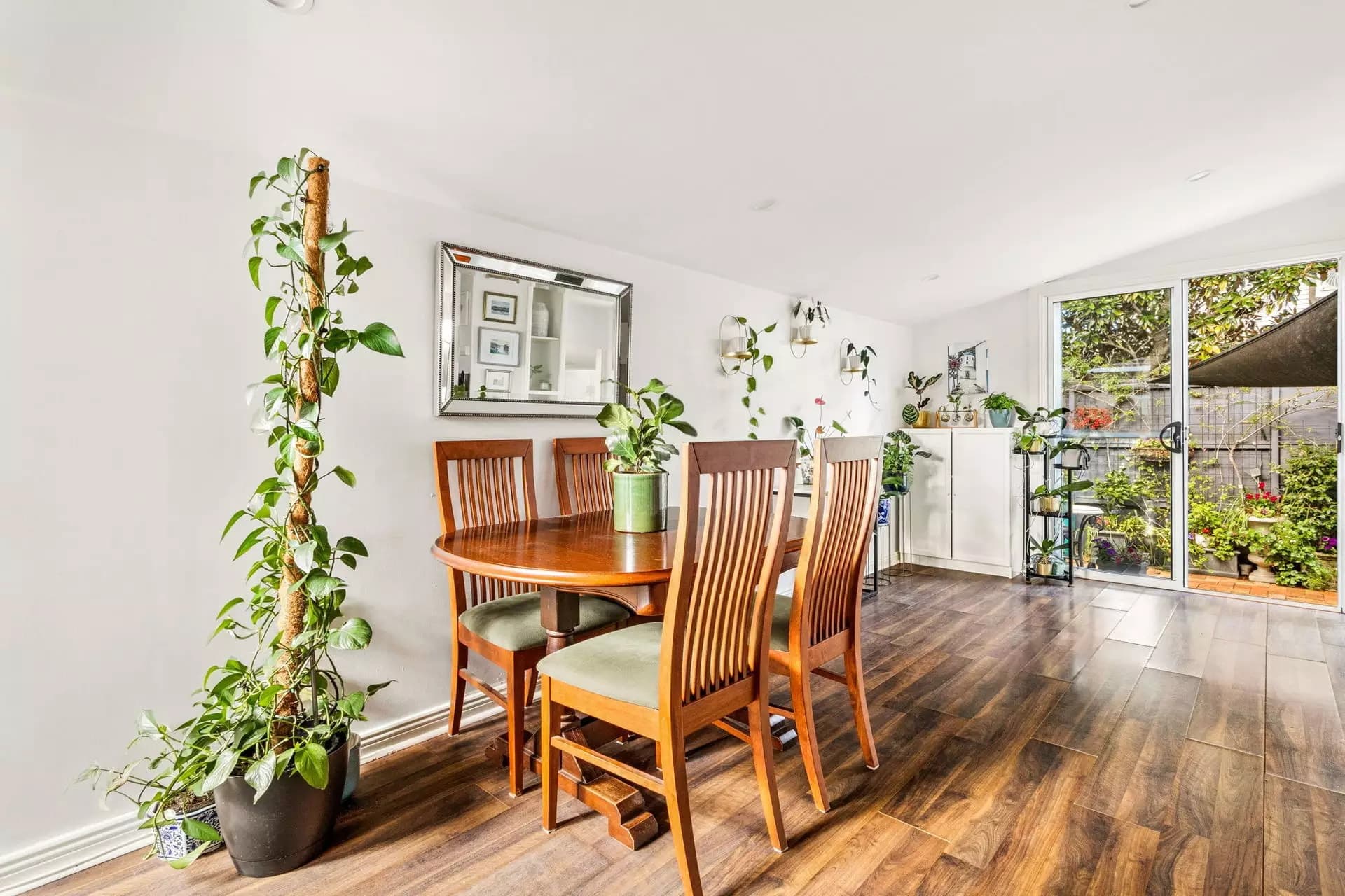 36 Hill Street, Leichhardt - Thumbnail 5