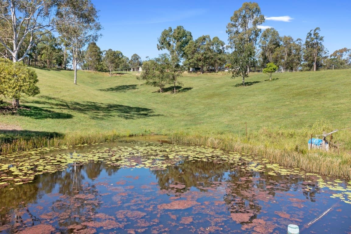 3390 Mary Valley Road, IMBIL  QLD  4570, Imbil - Thumbnail 2
