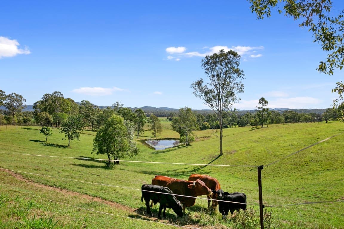 3390 Mary Valley Road, IMBIL  QLD  4570, Imbil - Thumbnail 4