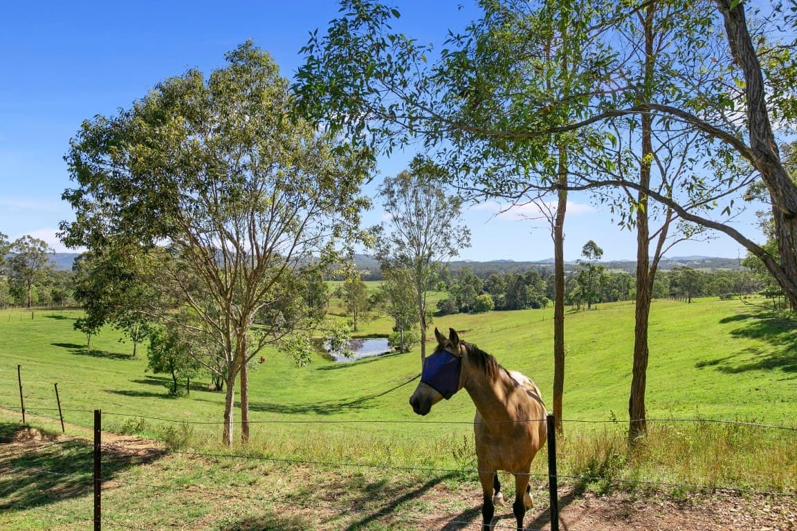 3390 Mary Valley Road, IMBIL  QLD  4570, Imbil - Thumbnail 5