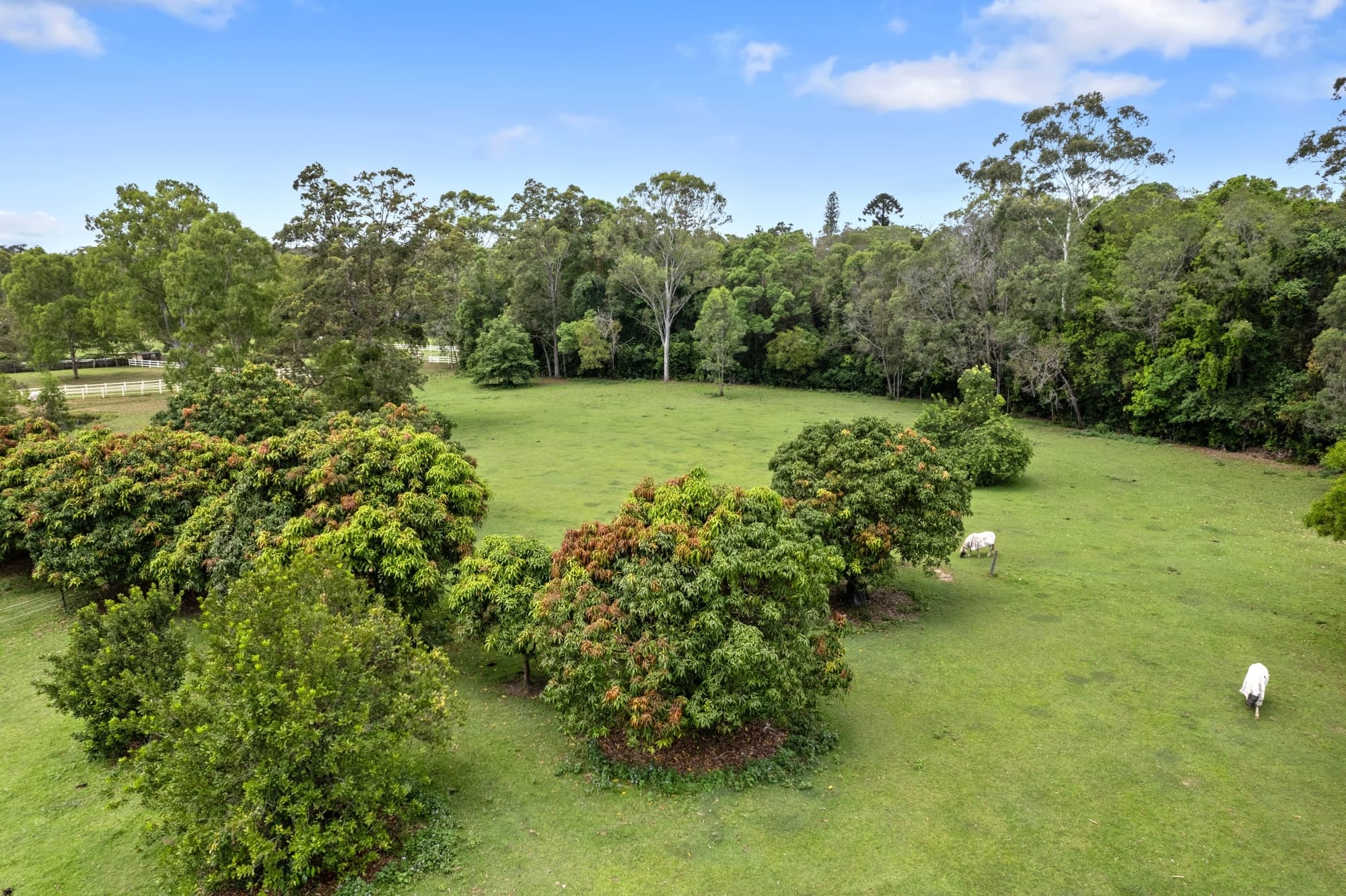 5 bed Master build on Acreage in Cooroy, Cooroy - Thumbnail 2