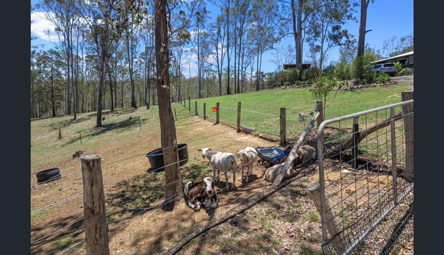 121 Boyle Road, Belli Park - Thumbnail 5
