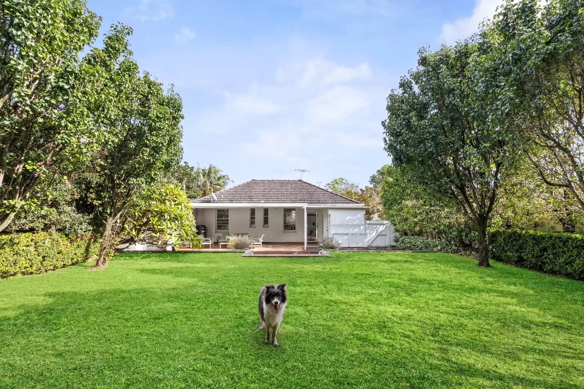 145 Moverly Road, South Coogee, South Coogee - Thumbnail 3