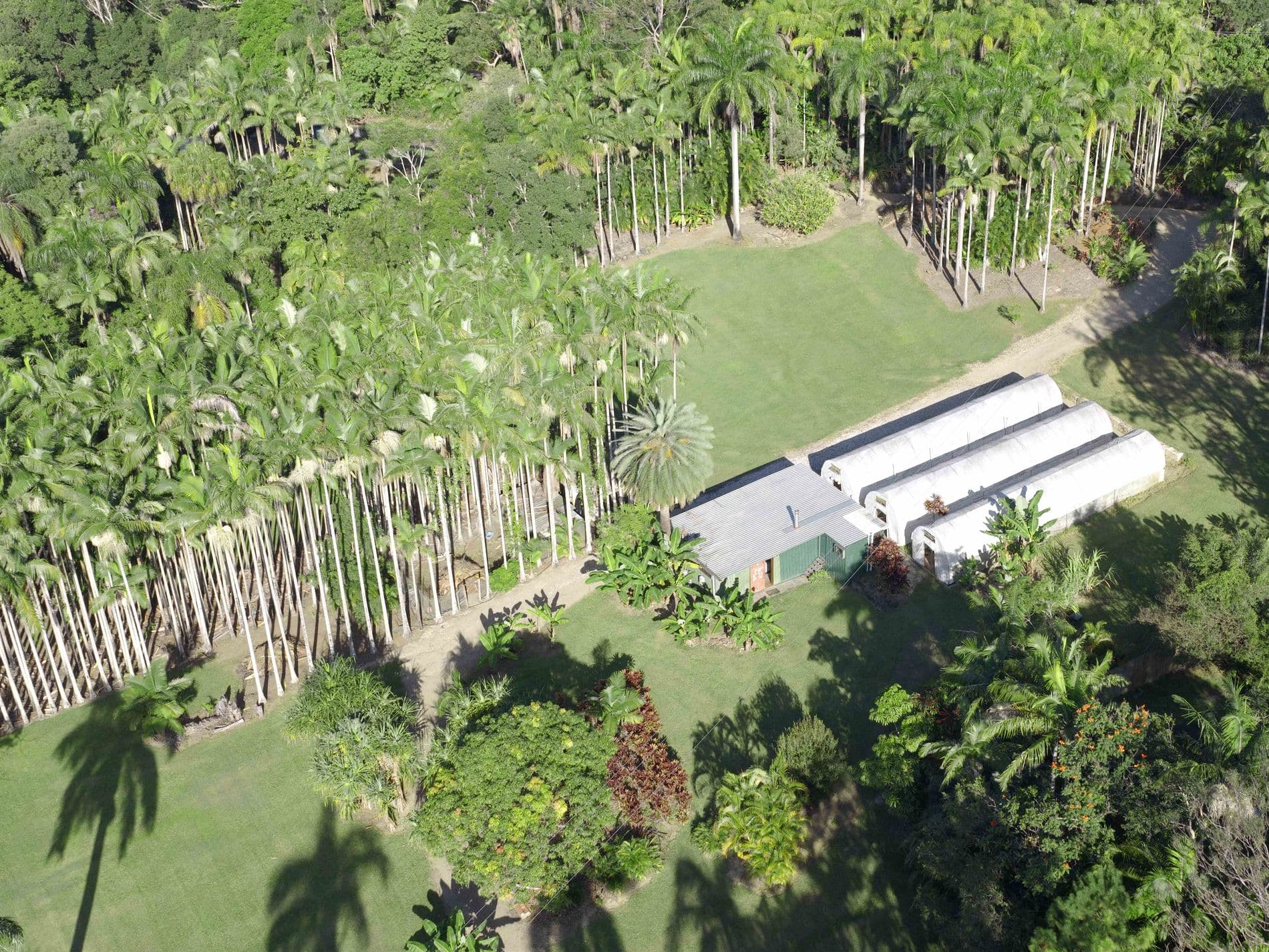 171 Billinudgel Road, 171 Billinudgel Road - Thumbnail 4