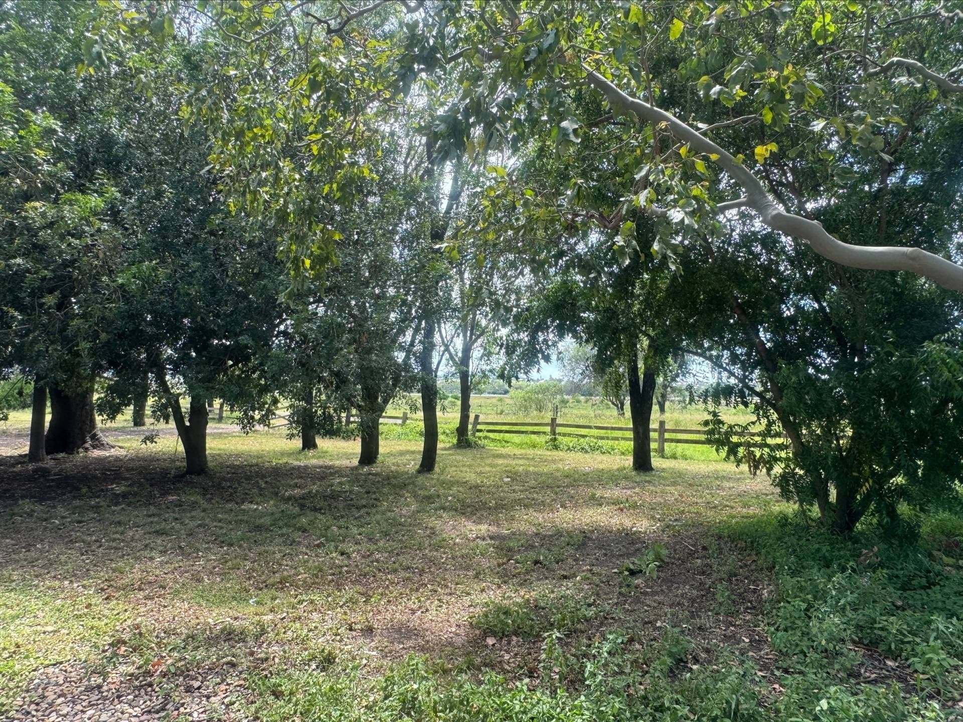 202 Canoona Rd, Fairy Bower QLD 4700, Fairy Bower - Thumbnail 3