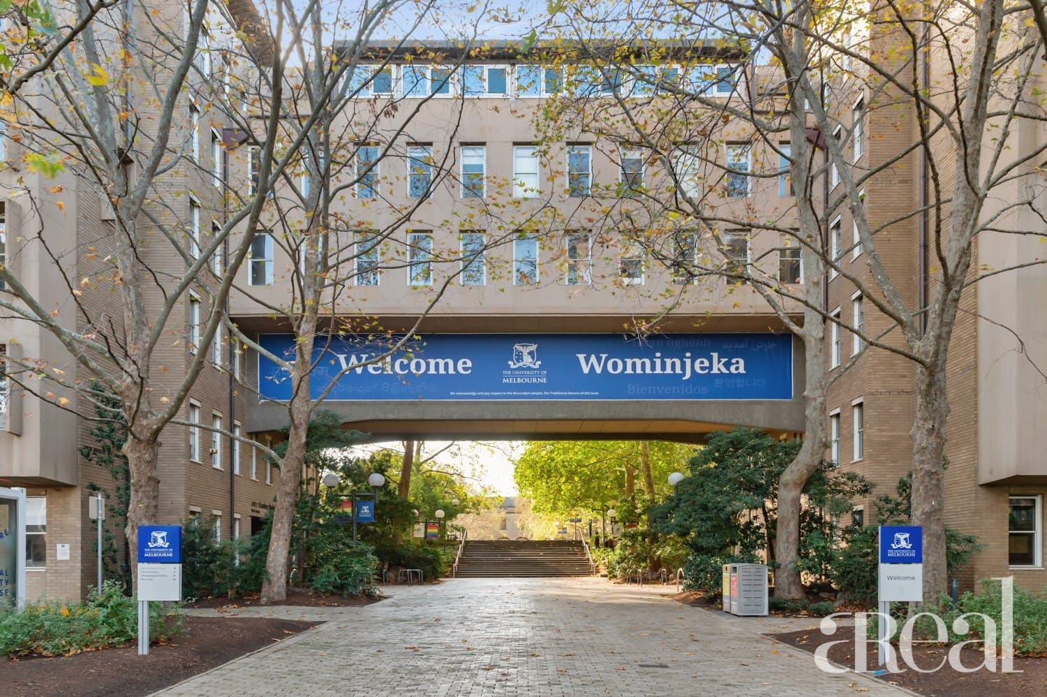 3706/160 Victoria Street, Carlton VIC 3053, Carlton - Thumbnail 4