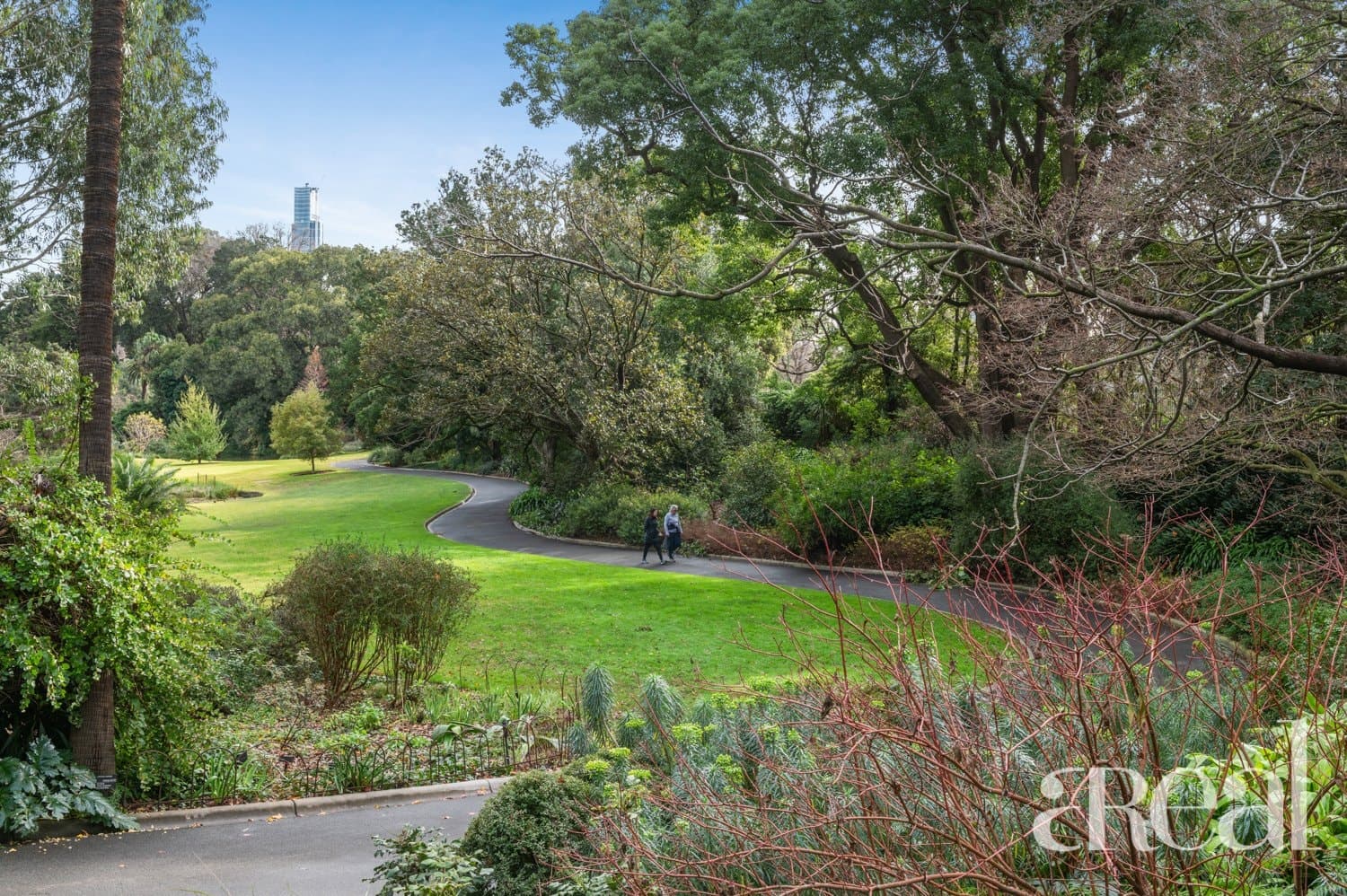 409/38 Cunningham Street, South Yarra VIC 3141, South Yarra - Thumbnail 5