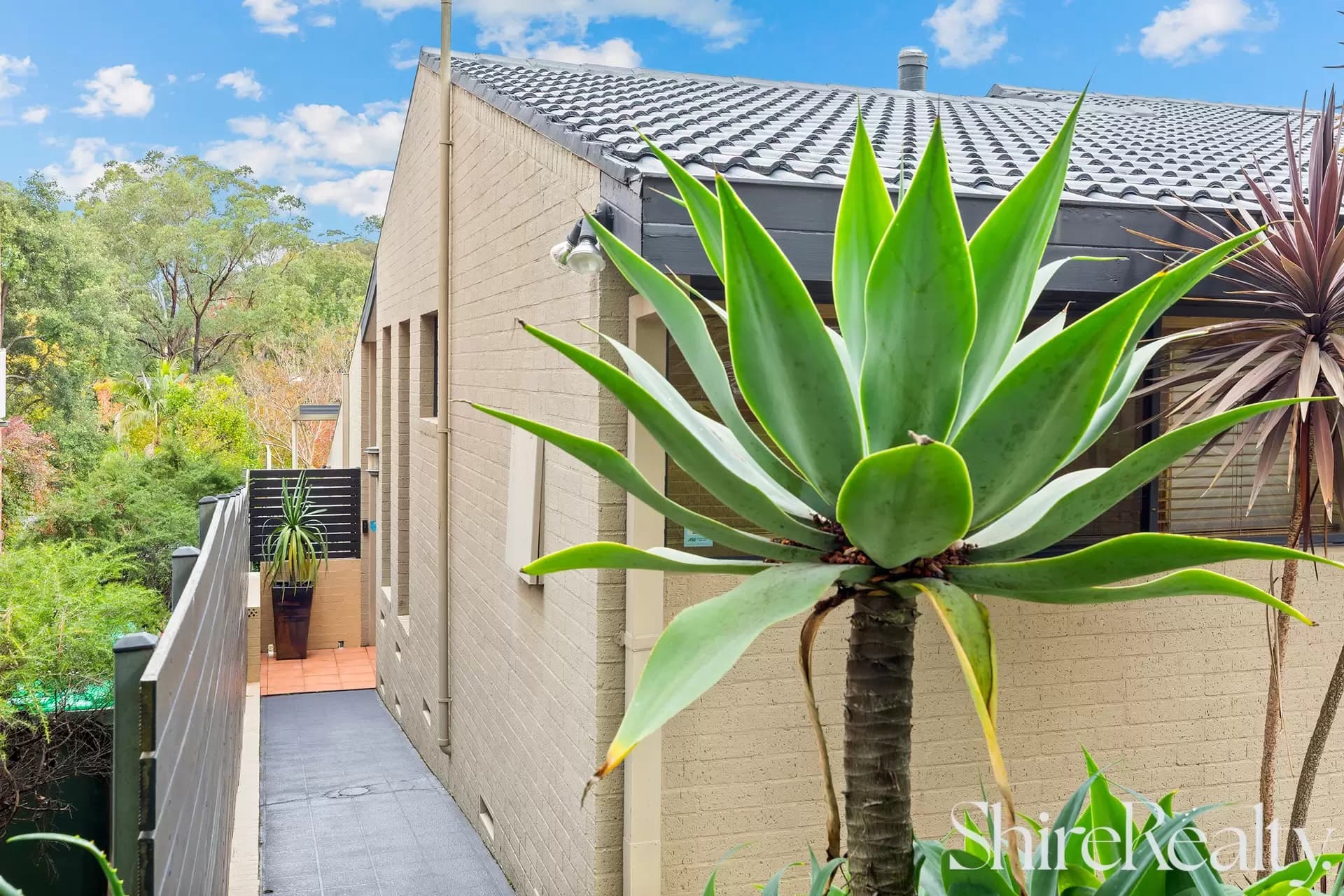 25 Brunette Drive, Castle Hill, Castle Hill - Thumbnail 2