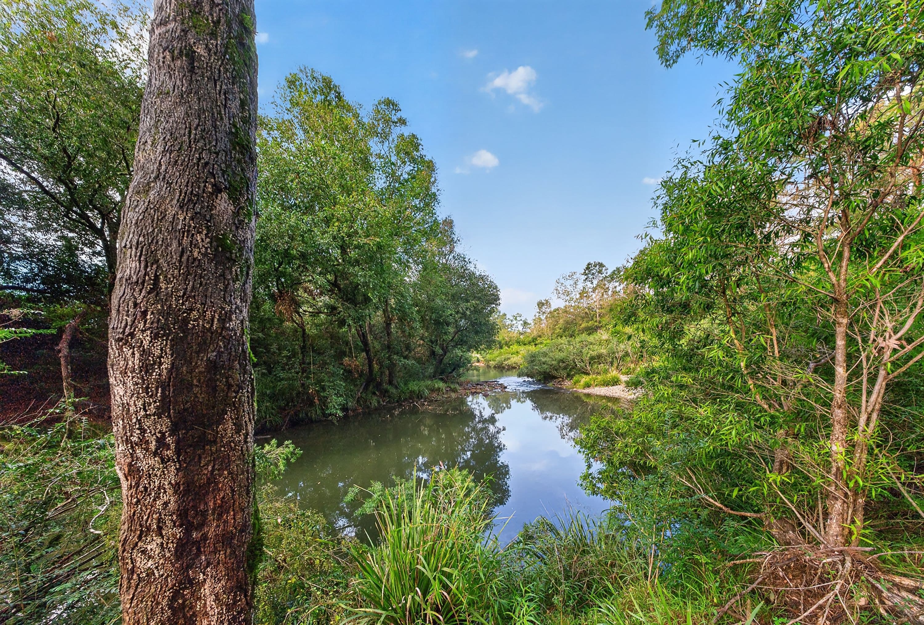 43 Fosterton Road, Dungog NSW 2420, Dungog - Image 1