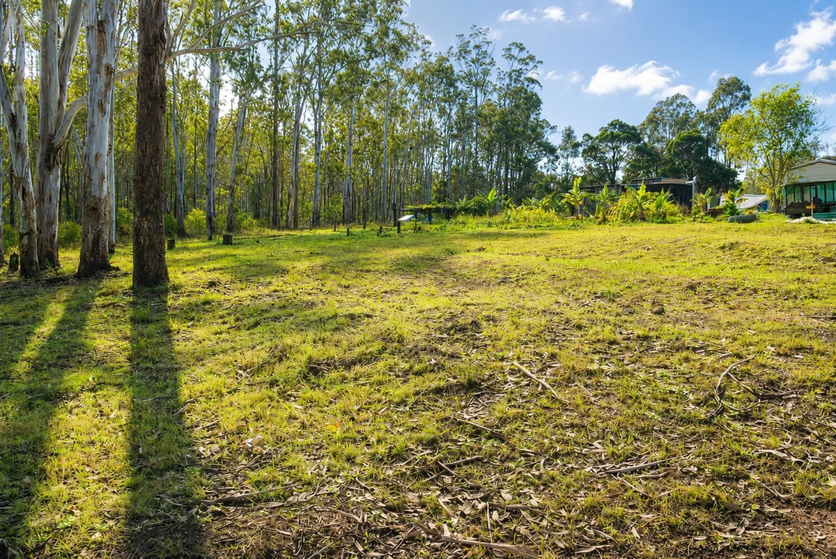 5 Simpson Street, Drake Village NSW 2469, Drake Village - Thumbnail 2