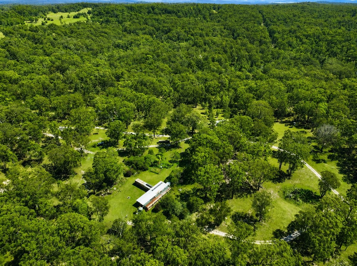 1293 Mount Lindesay Road, Tenterfield NSW 2372, Tenterfield - Thumbnail 2