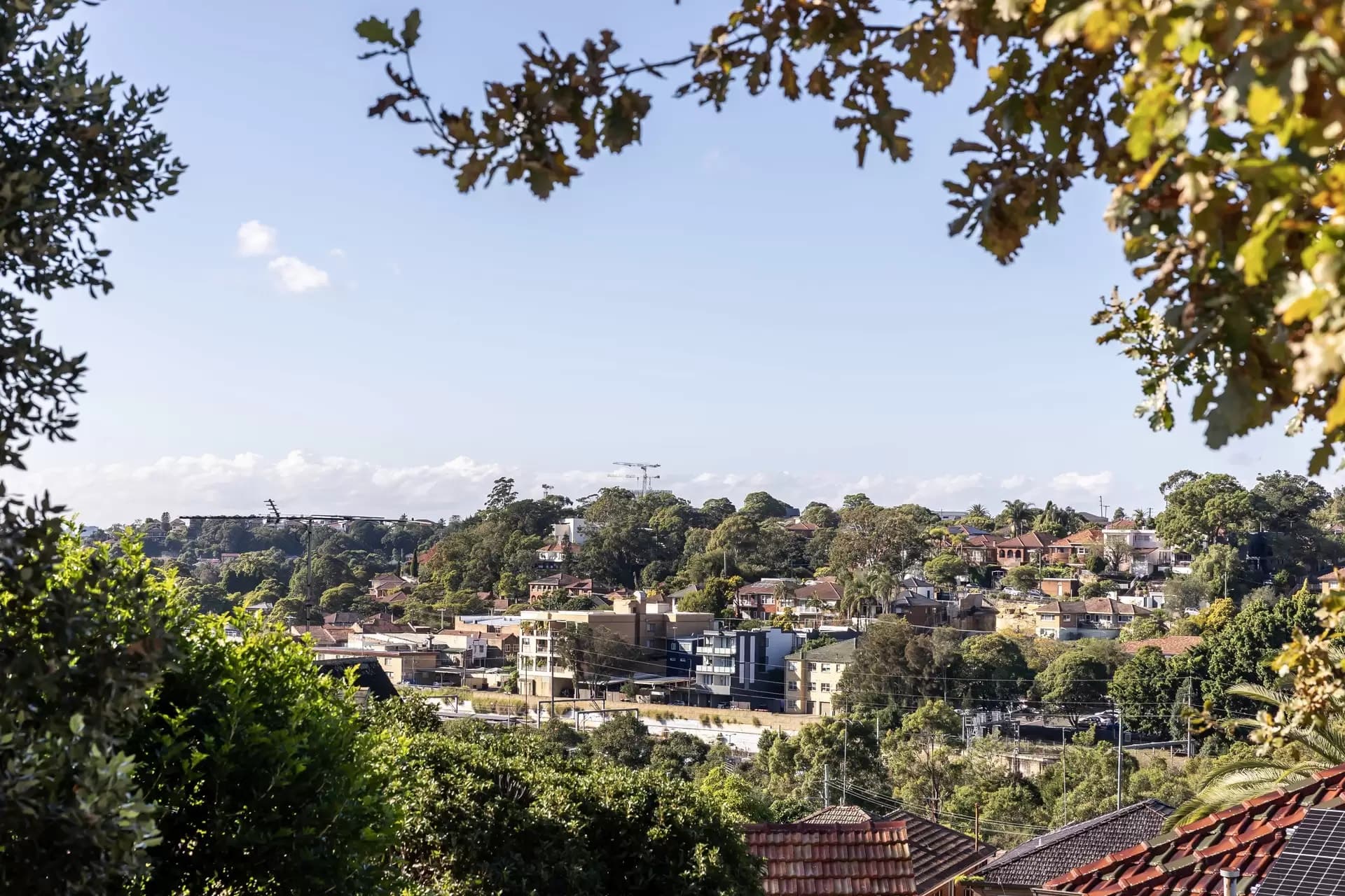 18 Bardwell Crescent, Earlwood - Thumbnail 4