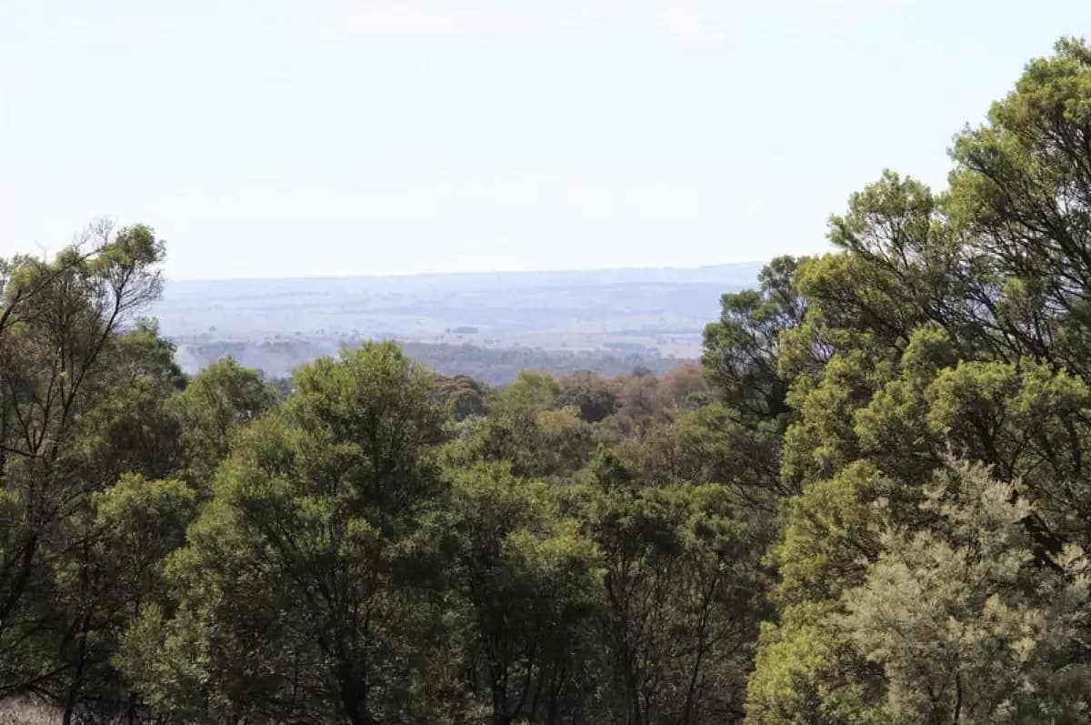 Lot 100,  Hume Highway, Lade Vale - Thumbnail 2