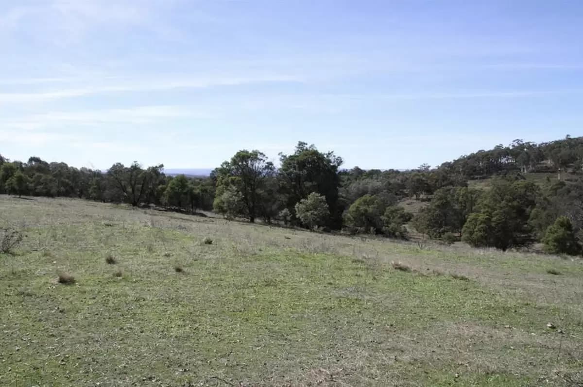 Lot 100,  Hume Highway, Lade Vale - Thumbnail 3