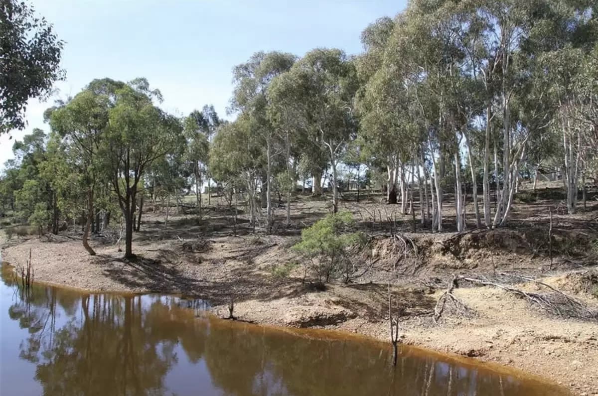 Lot 100,  Hume Highway, Lade Vale - Thumbnail 4