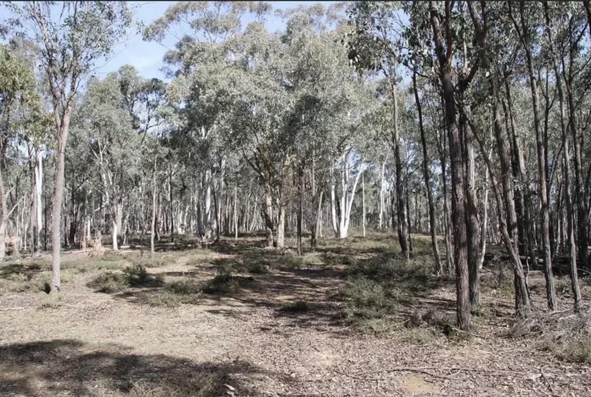 Lot 100,  Hume Highway, Lade Vale - Thumbnail 6