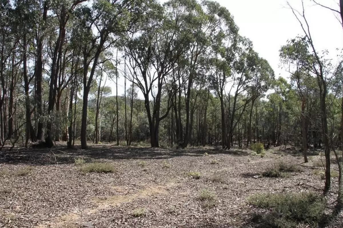 Lot 100,  Hume Highway, Lade Vale - Thumbnail 7