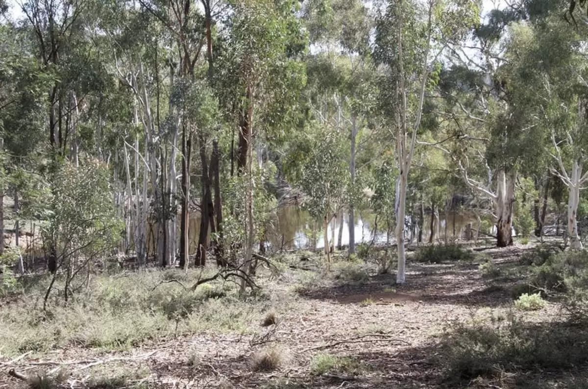 Lot 100,  Hume Highway, Lade Vale - Thumbnail 8