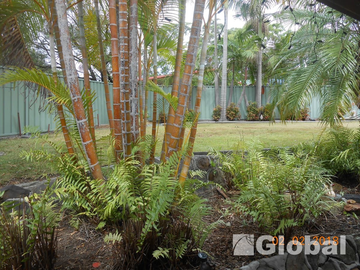 86 Auklet Road, Mount Hutton, Mount Hutton - Thumbnail 2
