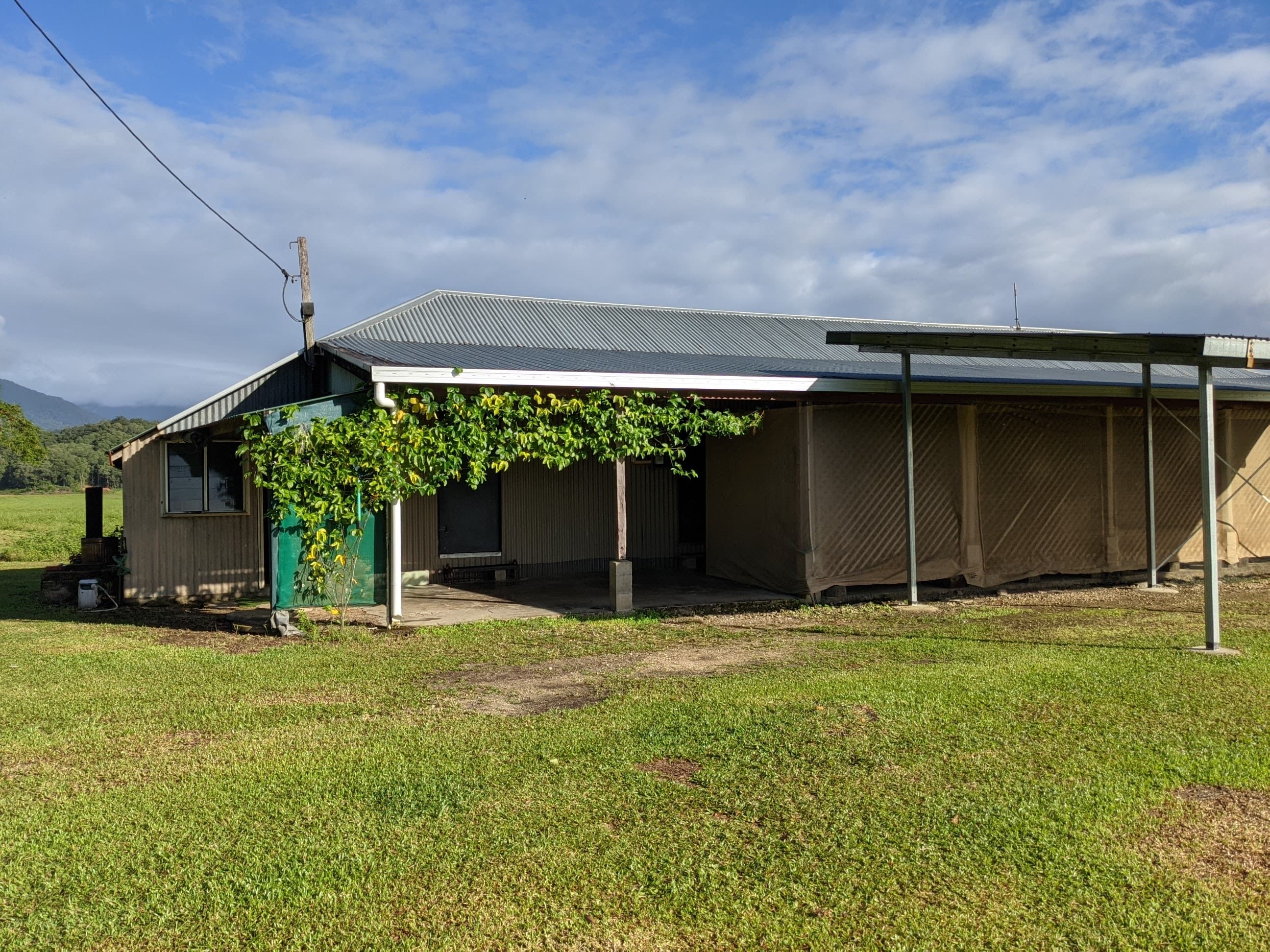 2/333 Miallo Bamboo Creek Road, WHYANBEEL QLD 4873, Whyanbeel - Thumbnail 2