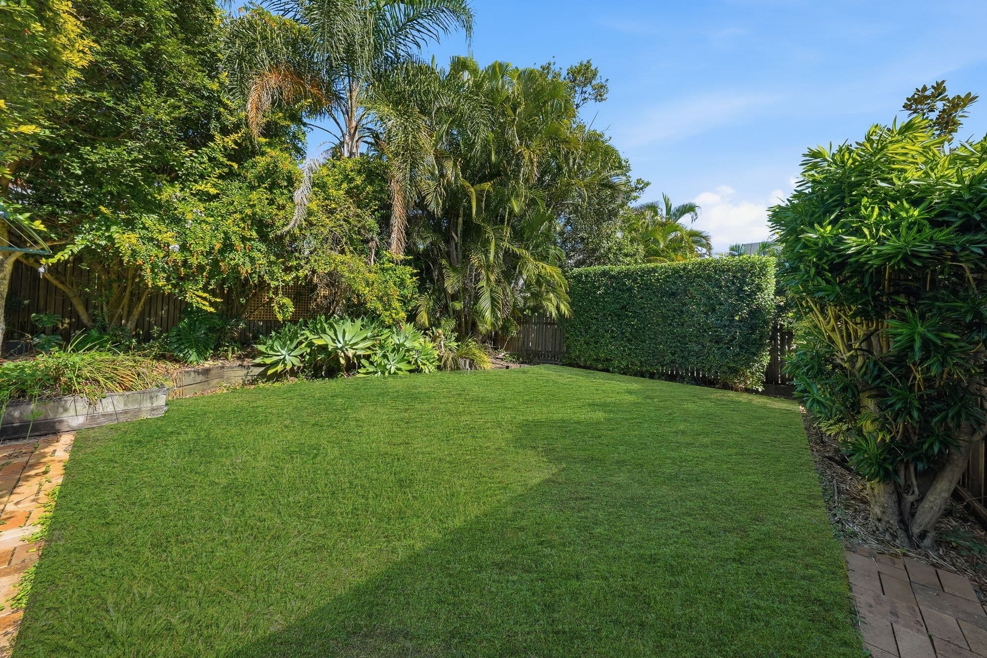 24 Cranmore Street, Red Hill QLD 4059, Red Hill - Thumbnail 5