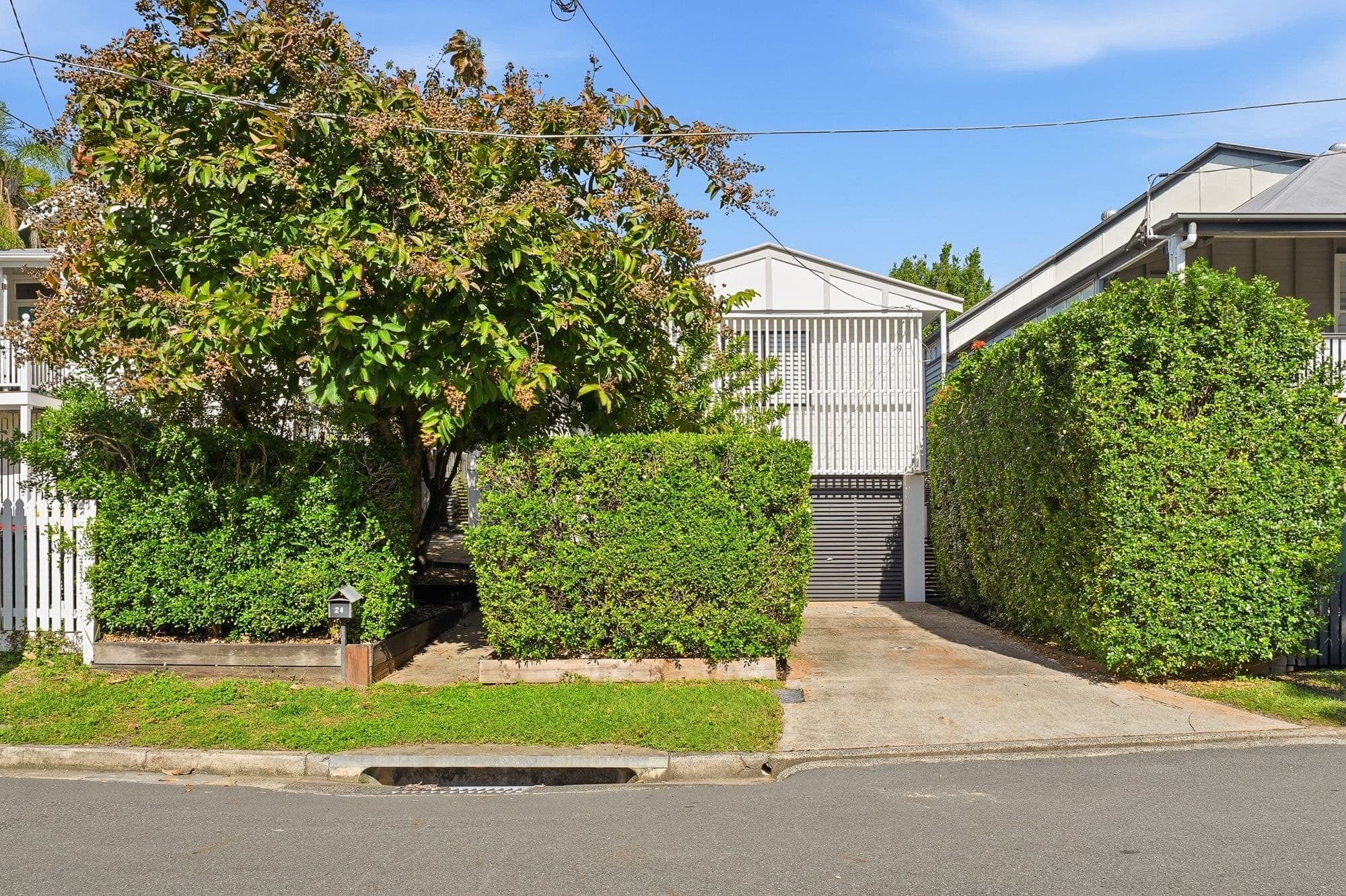 24 Cranmore Street, Red Hill QLD 4059, Red Hill - Thumbnail 6