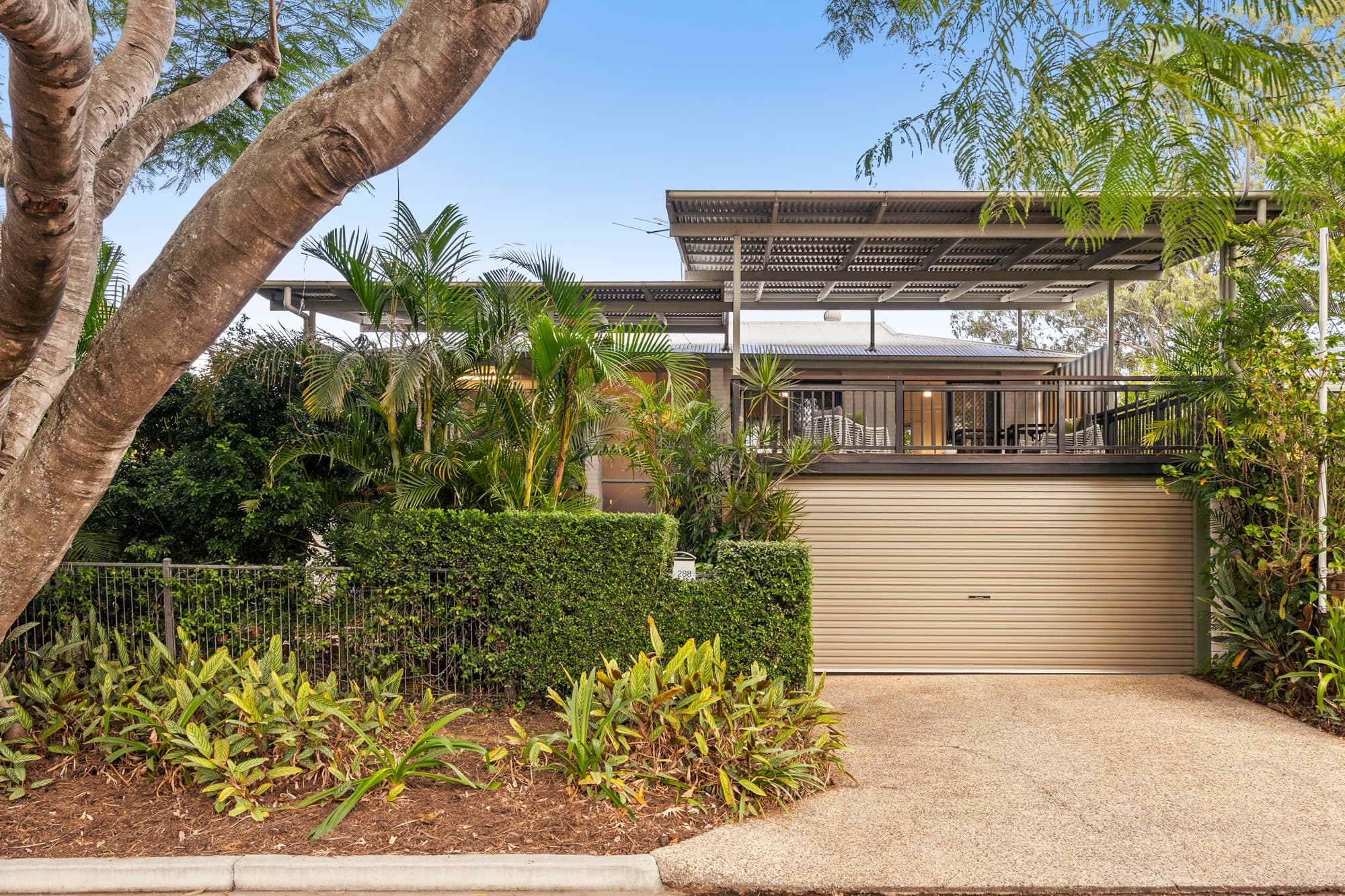 288 Brisbane Corso Yeronga QLD 4104, 288 Brisbane Corso Yeronga - Thumbnail 2