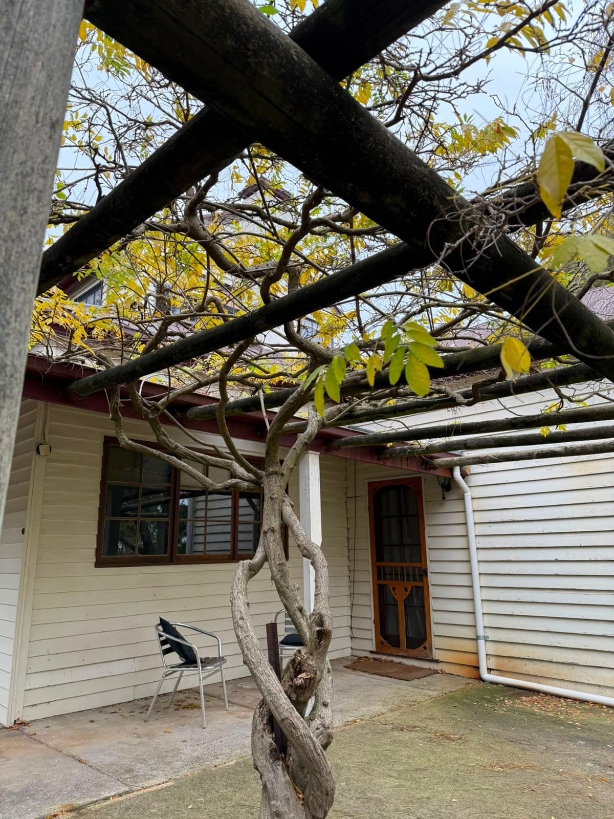 4B Julian Street East, Penola SA 5277, Penola - Thumbnail 2