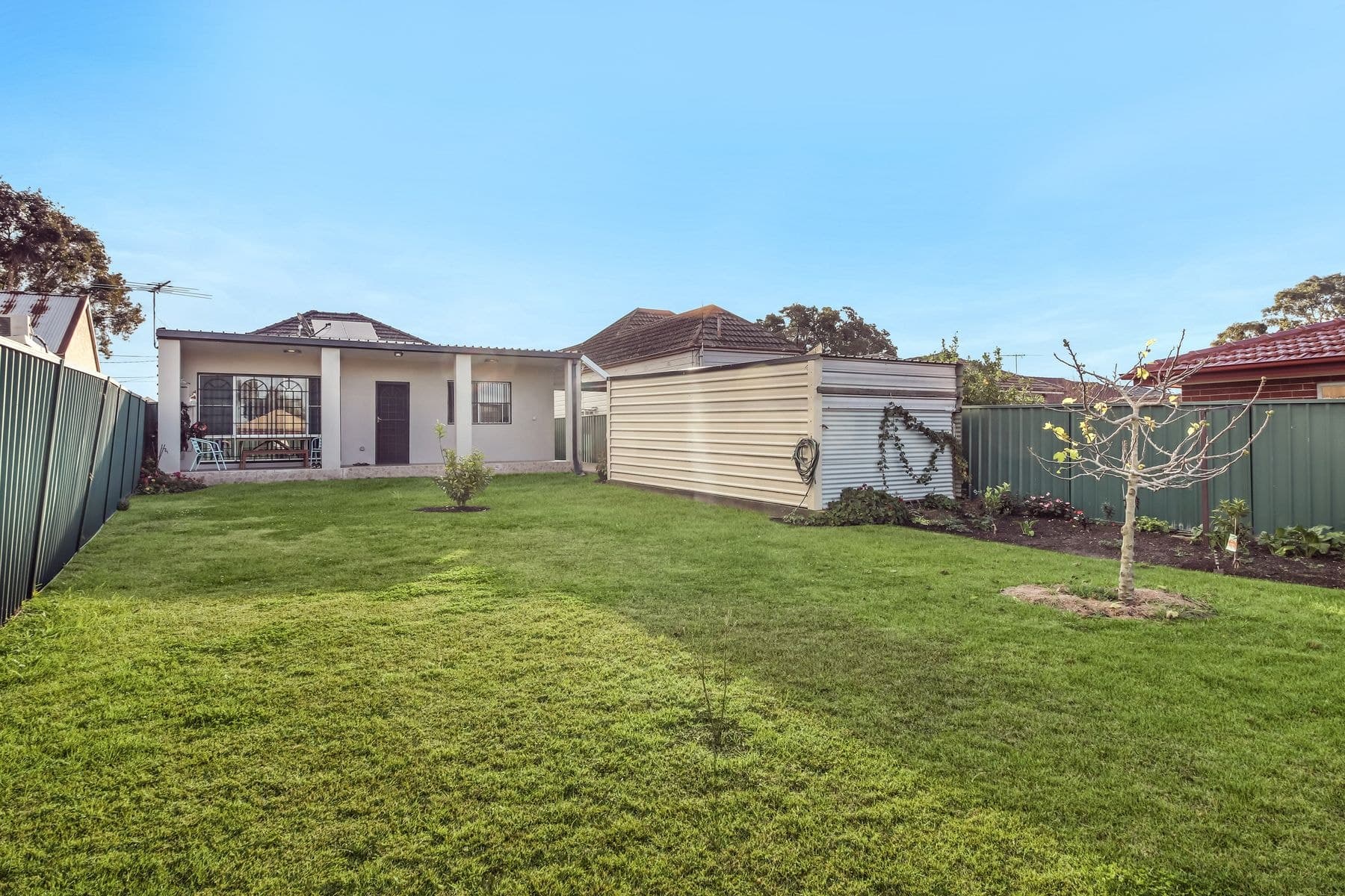 23 Beatrice Street, Lidcombe NSW 2141, Lidcombe - Thumbnail 7