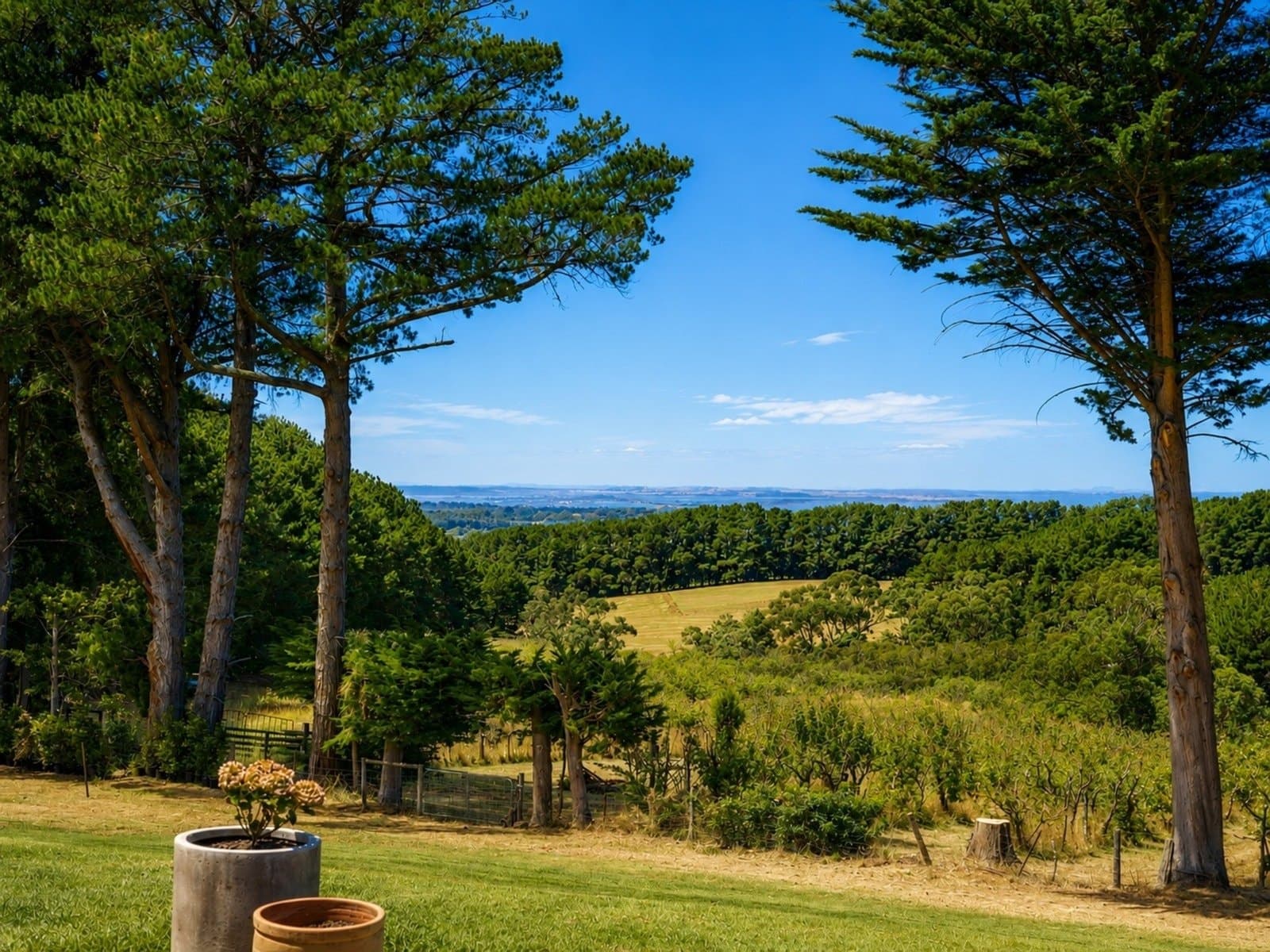 231 Red Hill Road, Red Hill South - Thumbnail 2