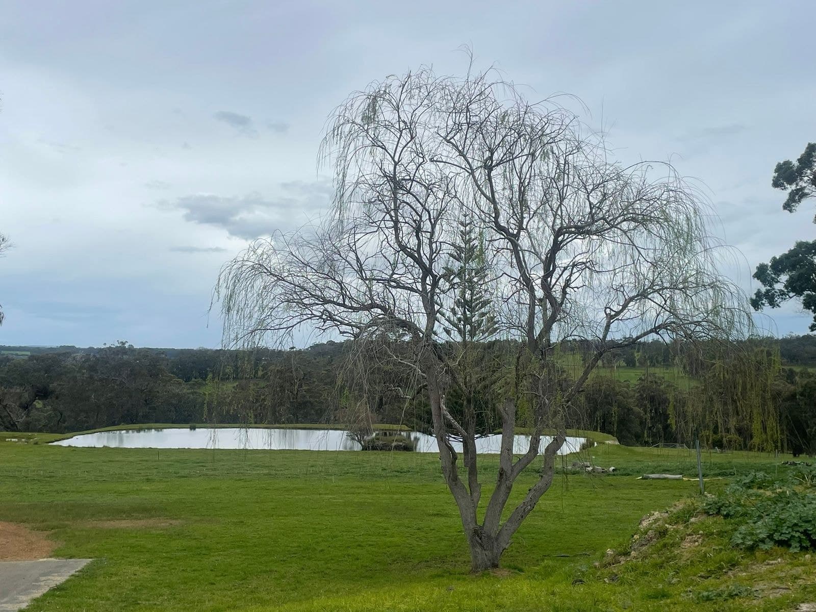 853 Takenup Road, Napier WA 6330, Napier - Thumbnail 2