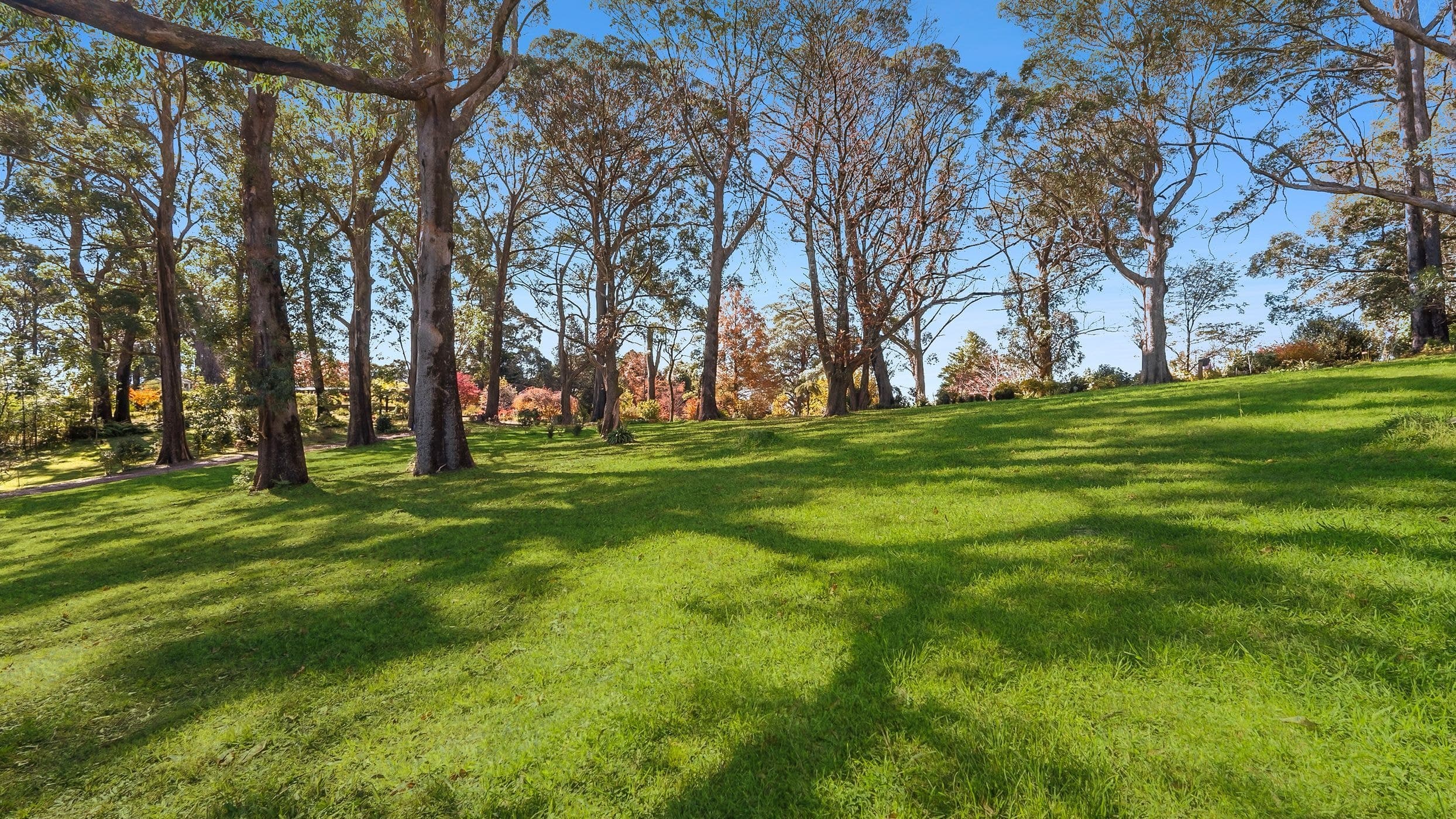 33-41 Skyline Road, Mount Tomah NSW 2758, Mount Tomah - Thumbnail 5