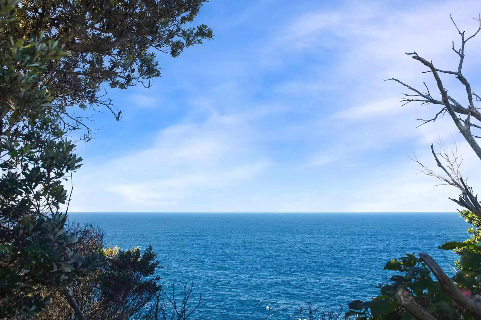 1/230 Old South Head Road, Vaucluse, Vaucluse - Thumbnail 5
