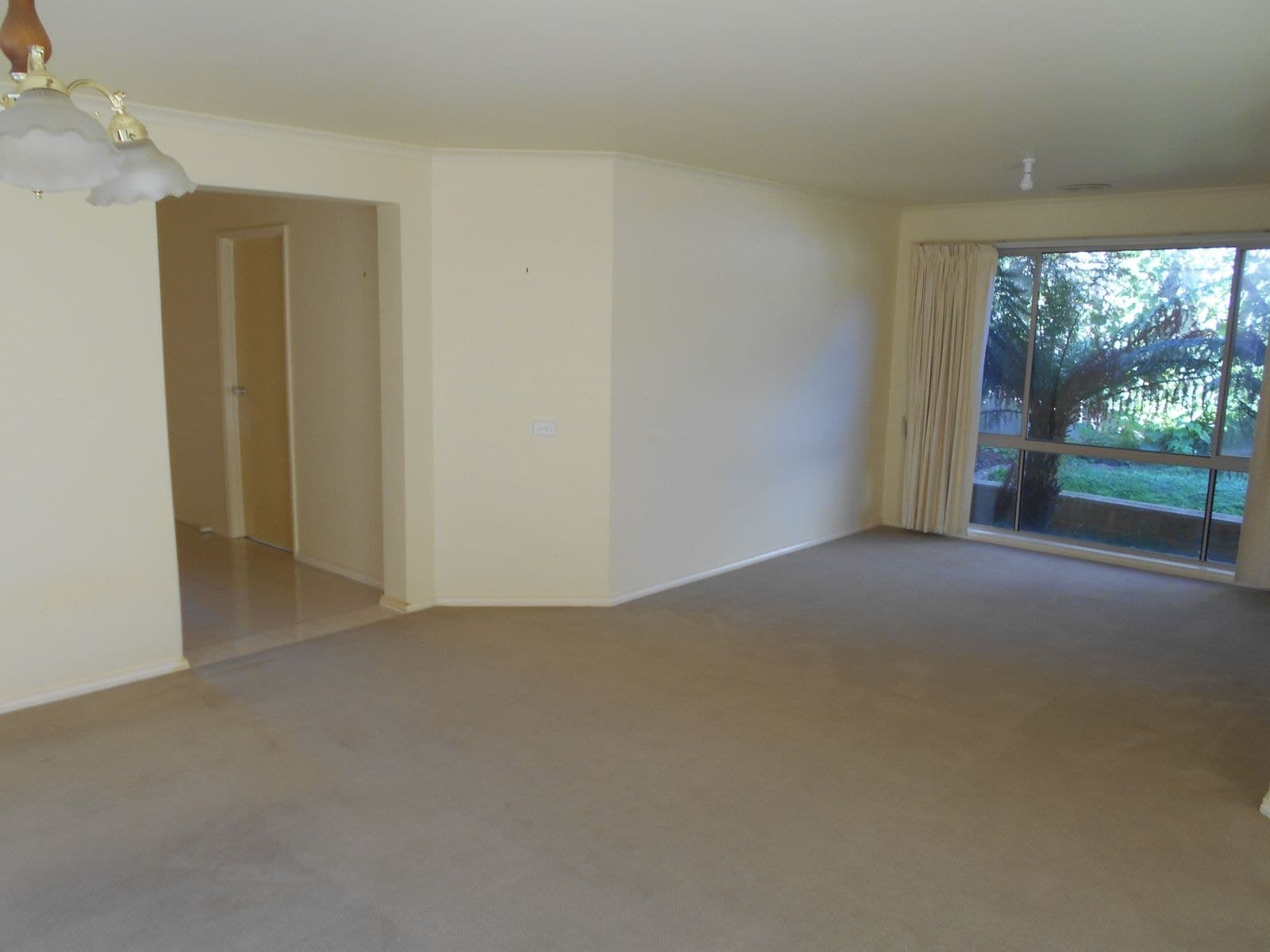 12 Sarah Court, Wantirna South VIC 3152, Wantirna South - Thumbnail 5