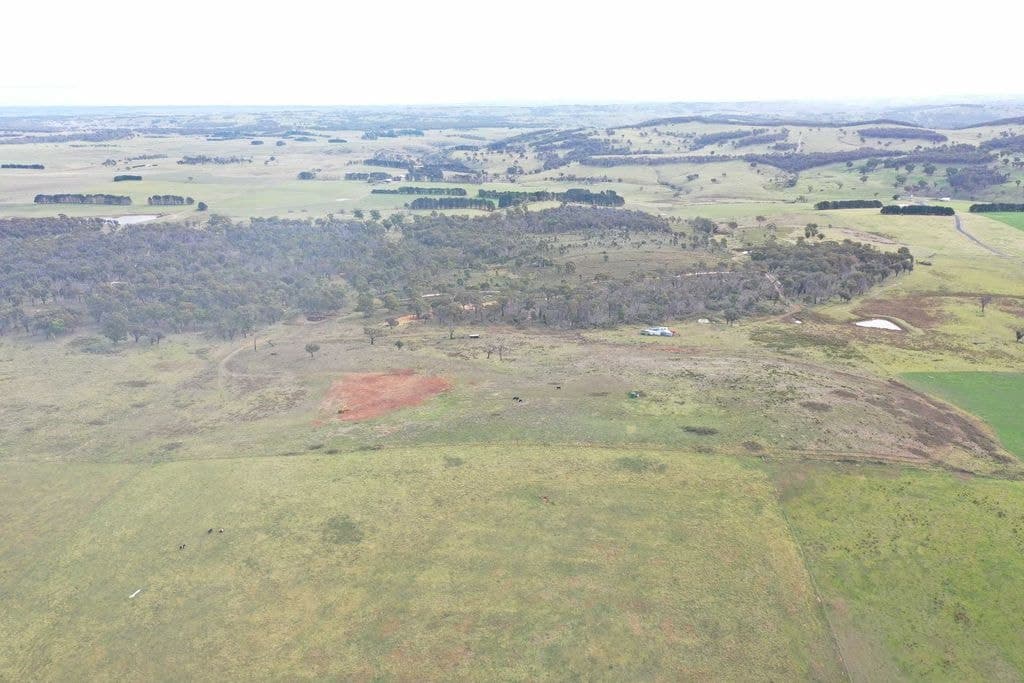 Lot 126 Via Oberon/taralga Road, Taralga - Thumbnail 7