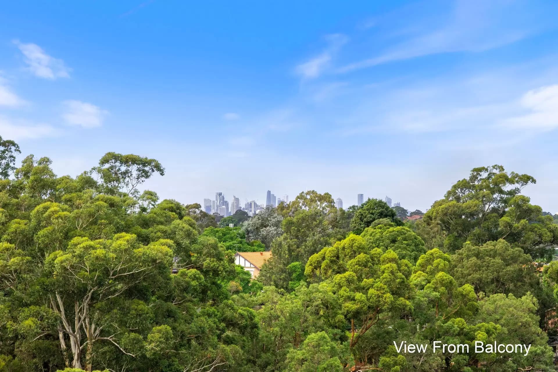 207/86 Mobbs Lane, Eastwood, Eastwood - Thumbnail 7