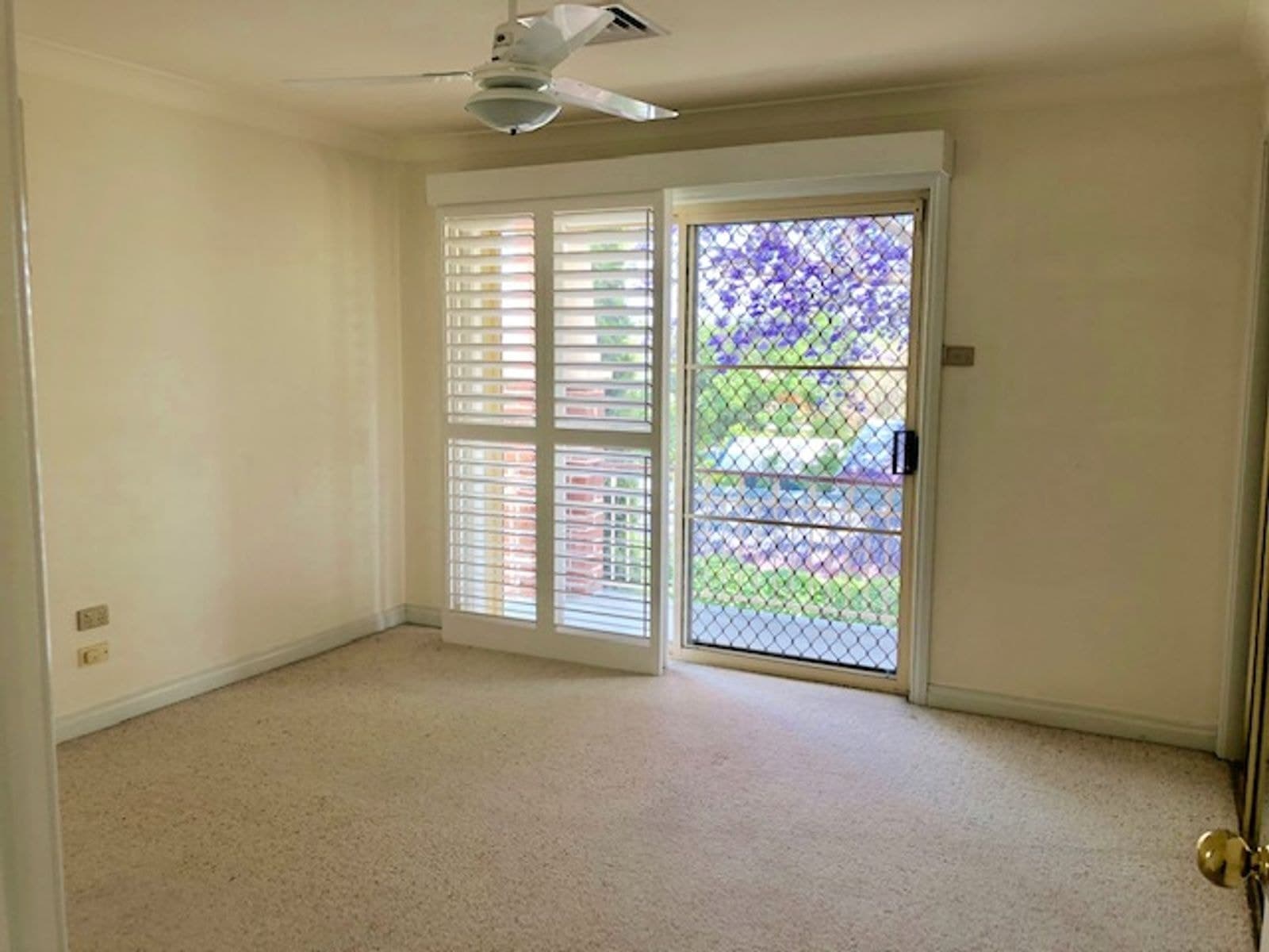 4/59 Carthage Street, Tamworth NSW 2340, Tamworth - Thumbnail 8