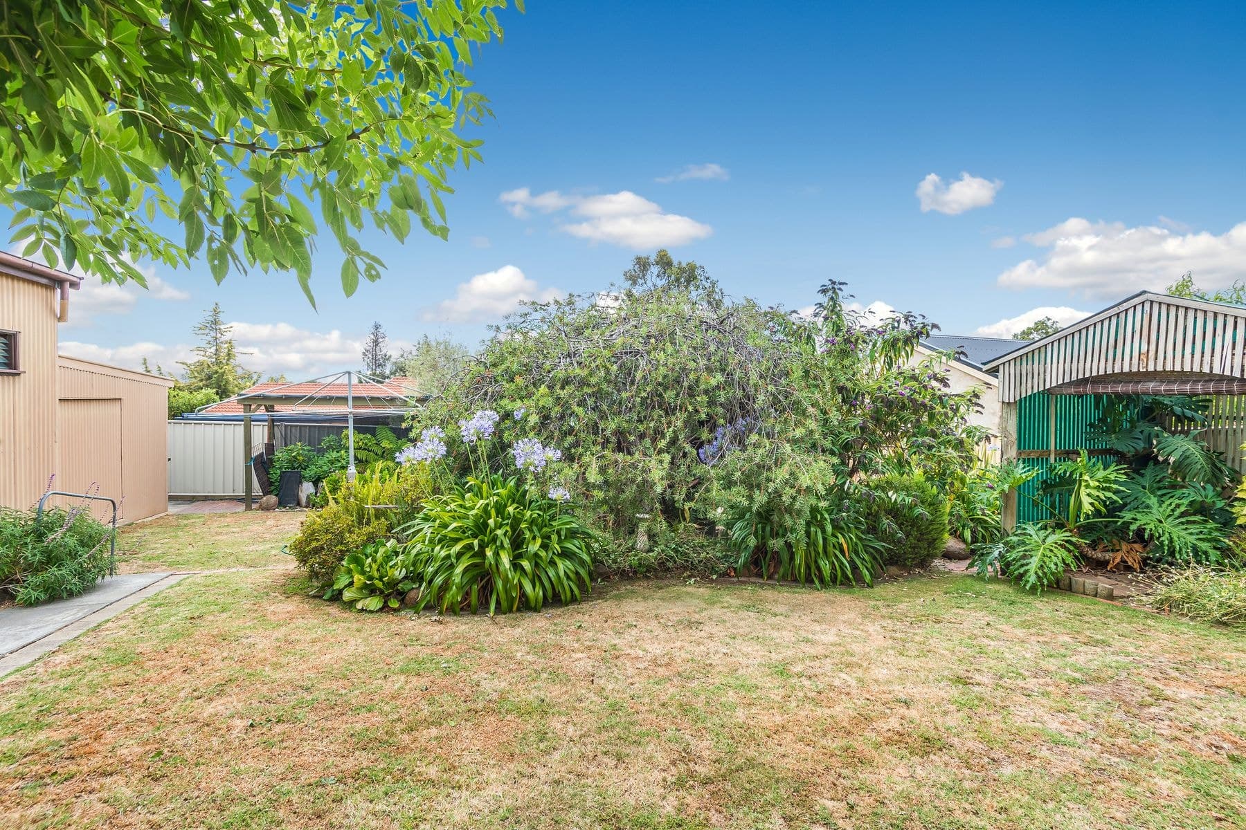 4 Allison Street, Kennington VIC 3550, Kennington - Thumbnail 6