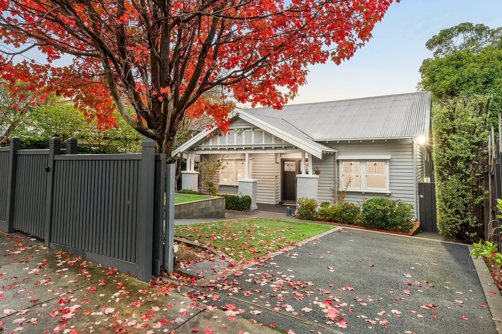 6 Laing Street, Mont Albert - Image 1