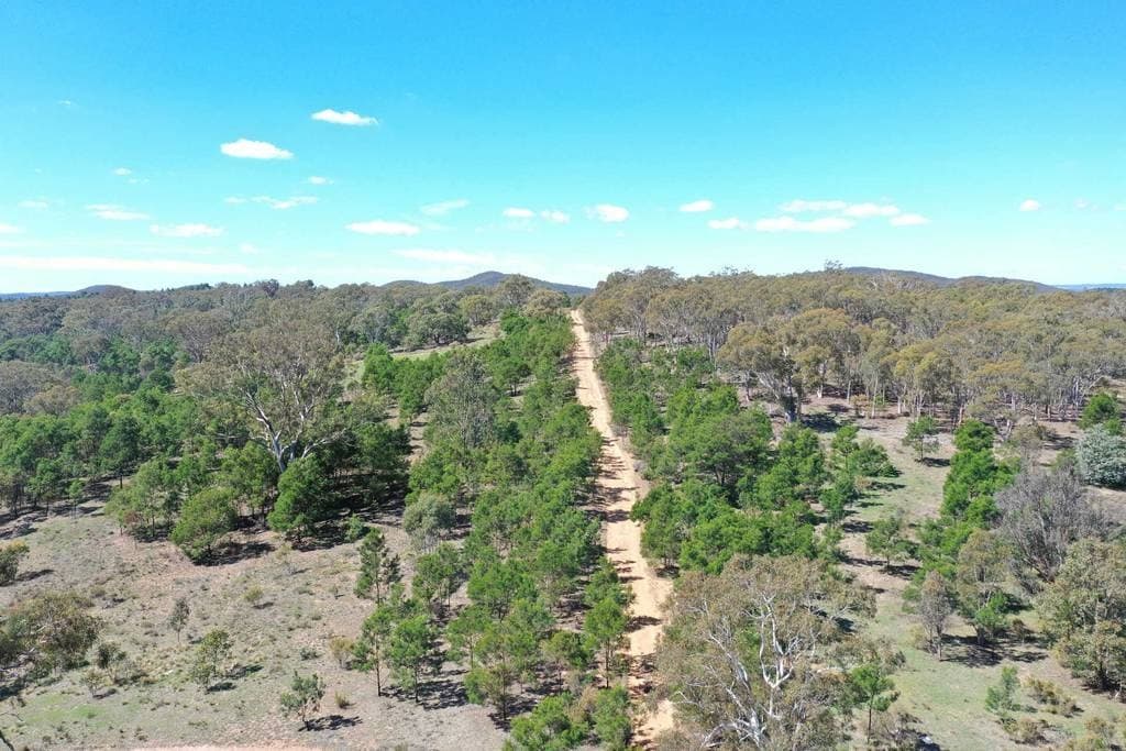 563 Mt Baw Baw Road, Baw Baw - Thumbnail 6