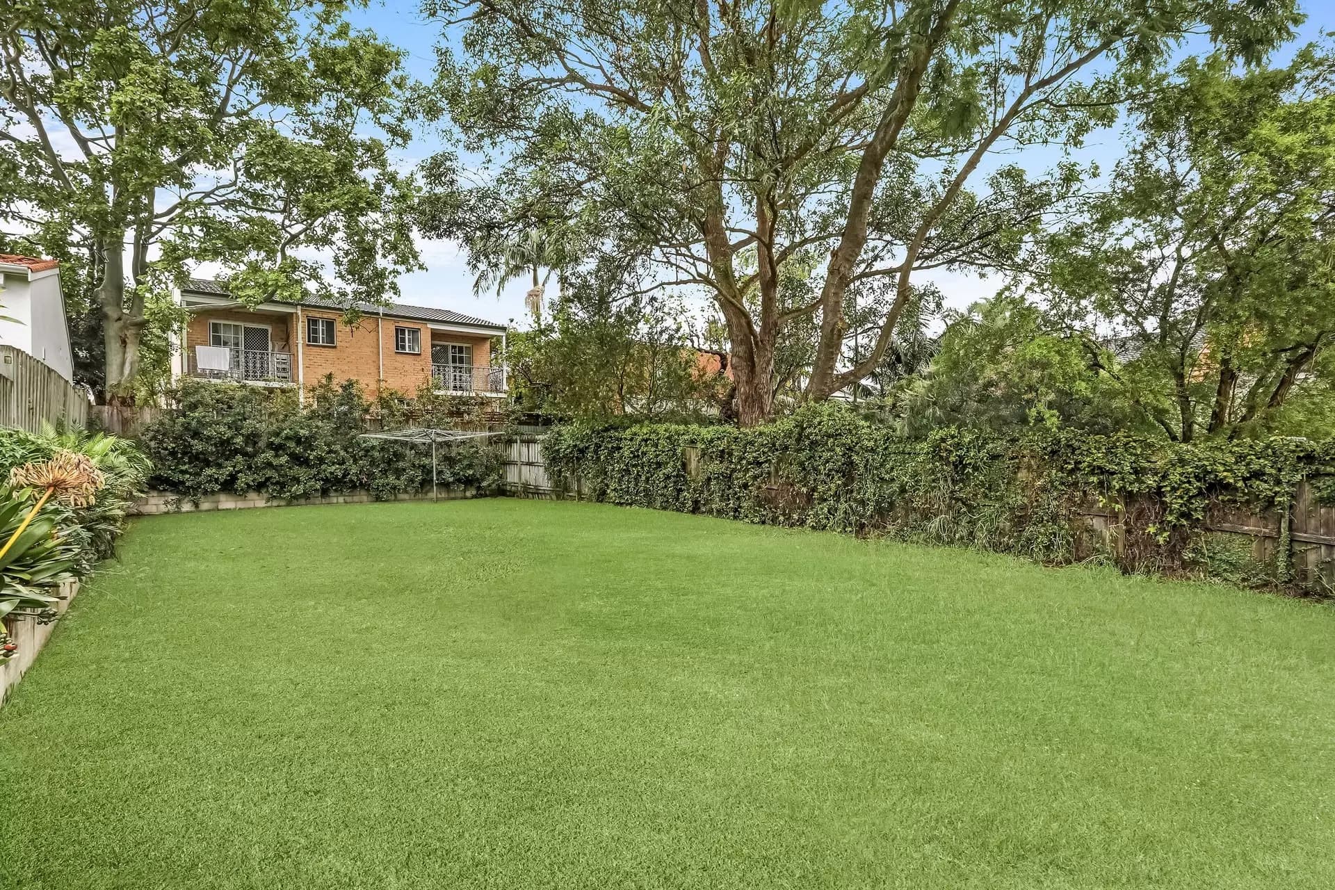 55 Burfitt Street, Leichhardt - Thumbnail 8