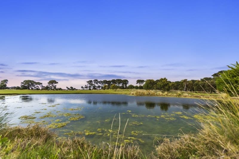 3/3 Plantation Drive Barwon Heads VIC, Barwon Heads - Thumbnail 4
