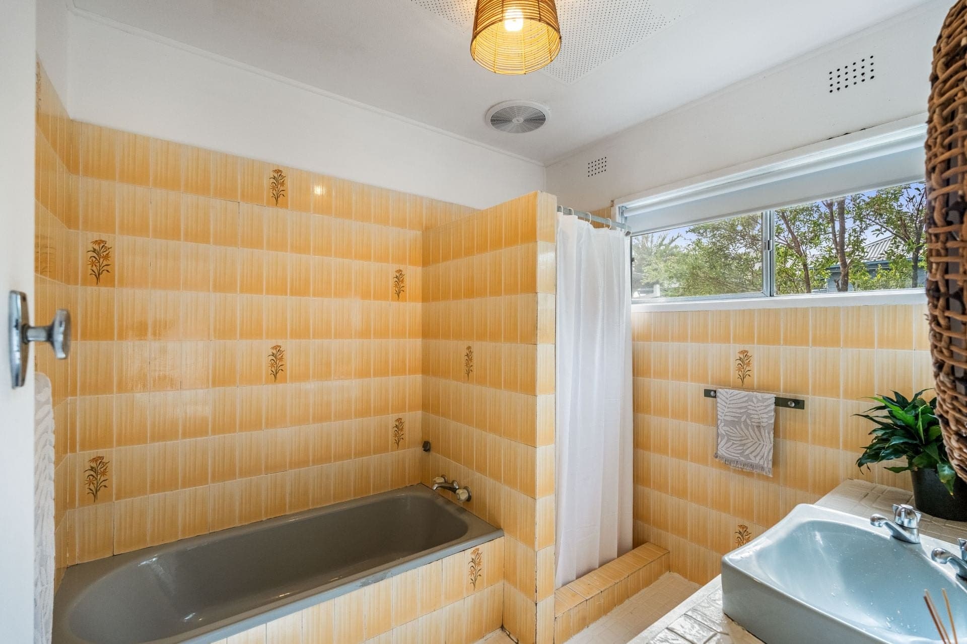 23 Brunswick Street Ballina NSW, Ballina - Thumbnail 6