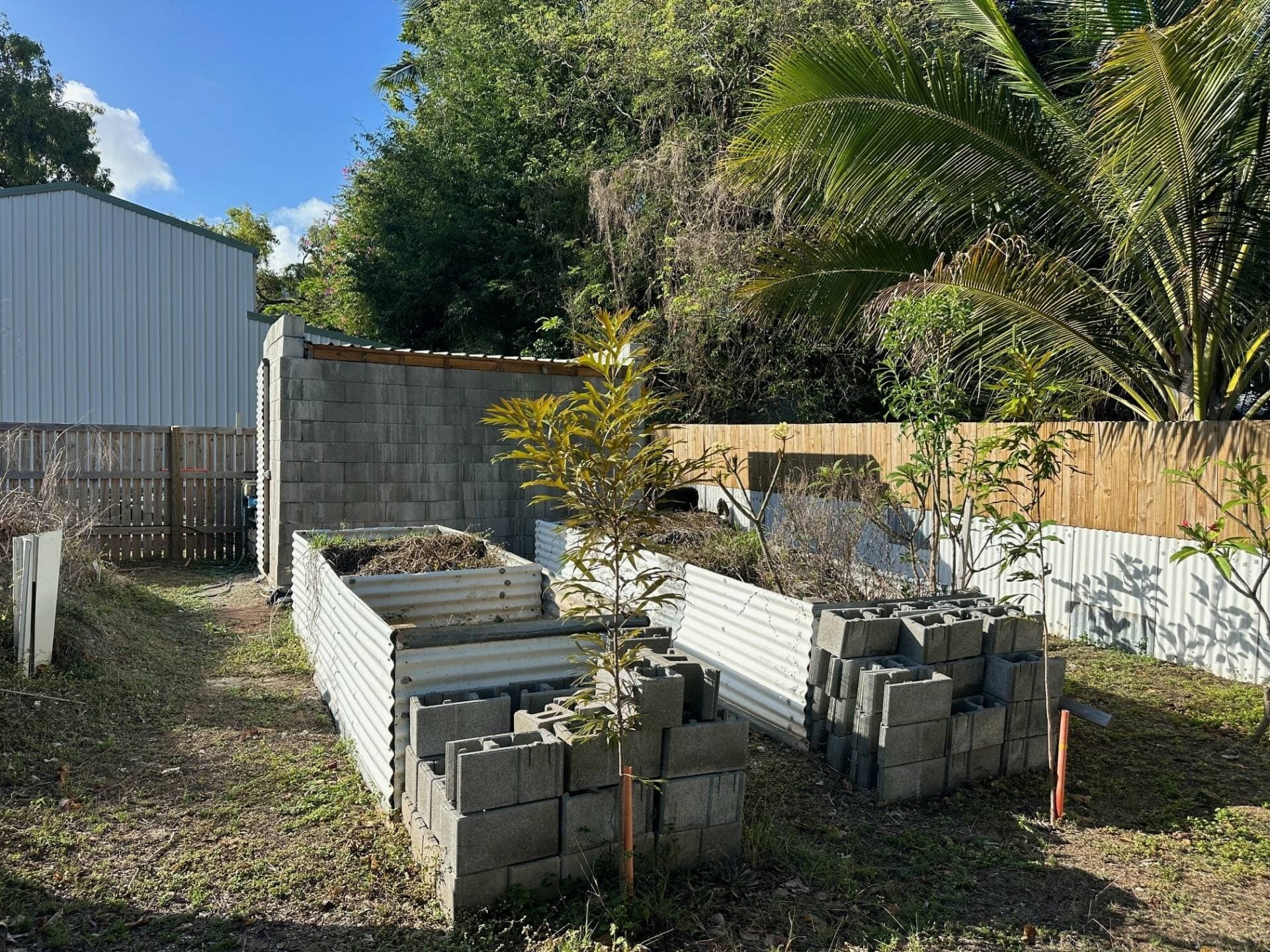 41 Kelly Street, Nelly Bay - Thumbnail 5