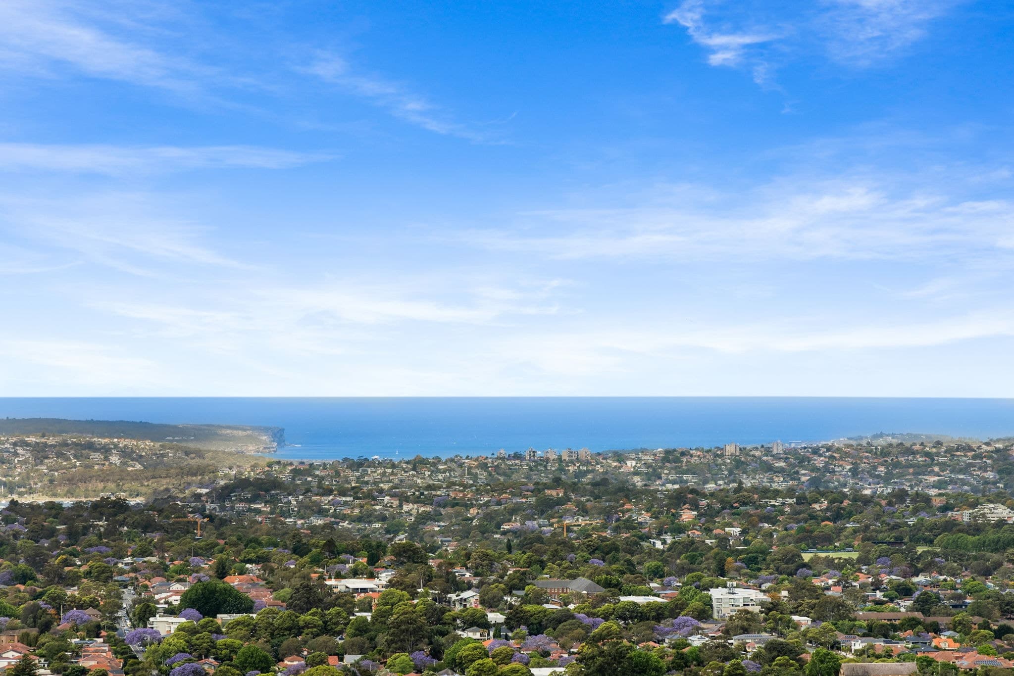 5901/438 Victoria Avenue Chatswood, Chatswood - Thumbnail 2