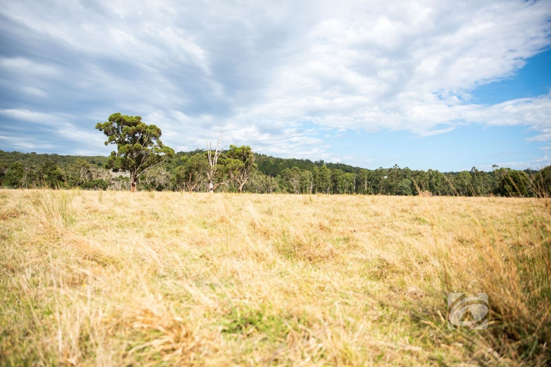 425 Toomuc Valley Road, Pakenham VIC 3810, Pakenham - Thumbnail 2