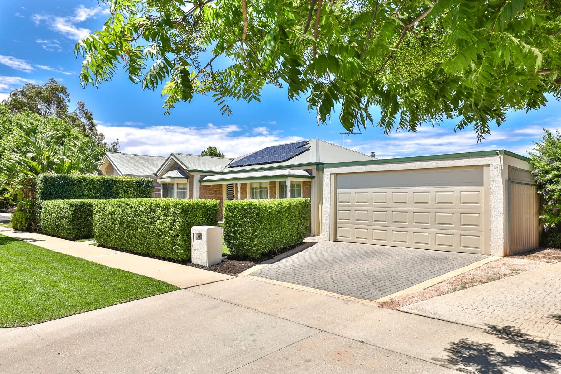 1 Pevensey Grove, Mildura VIC 3500, Mildura - Image 1